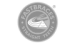 Logo - Asset